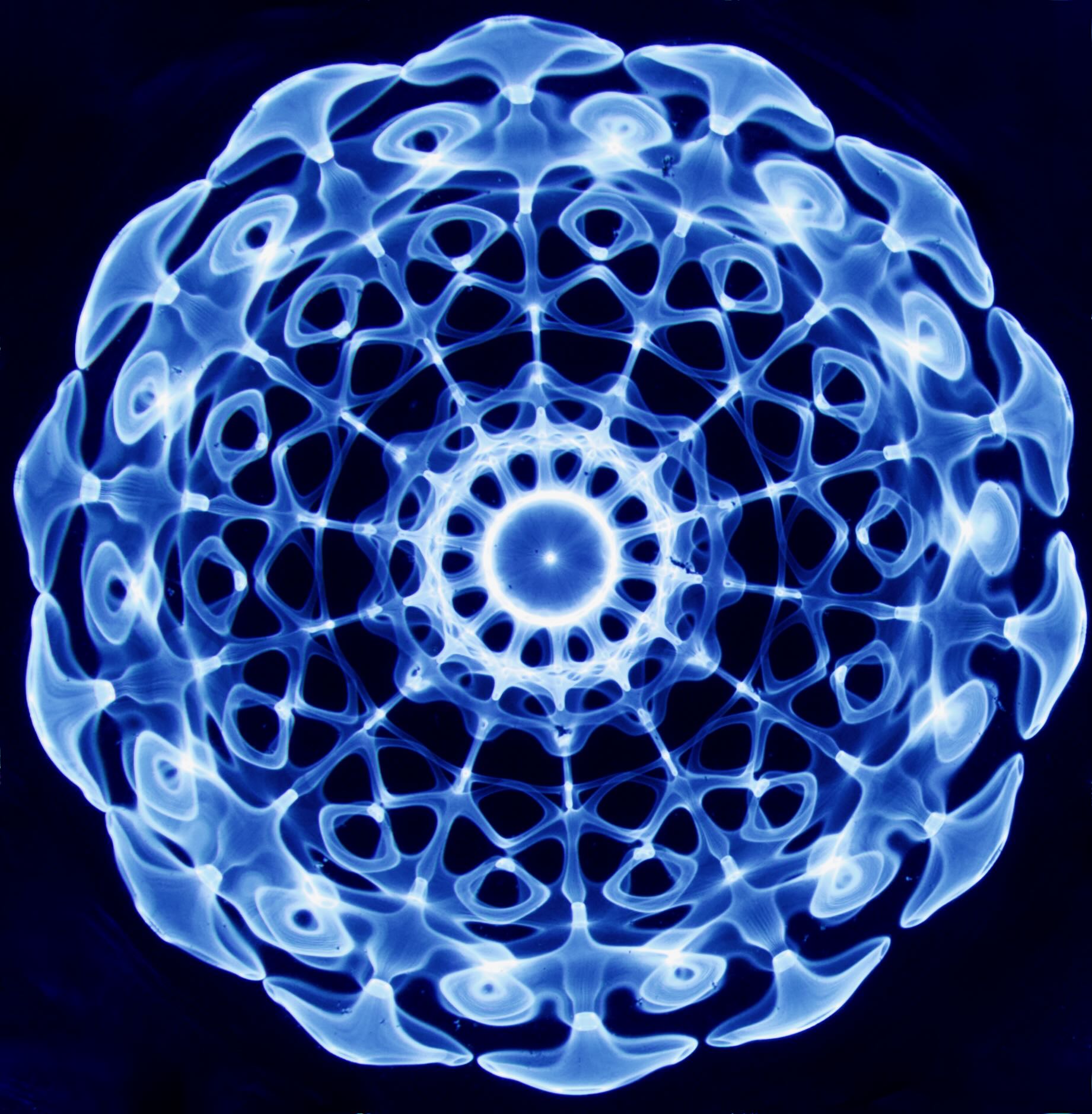 Contact Us - Red Trillium Associates